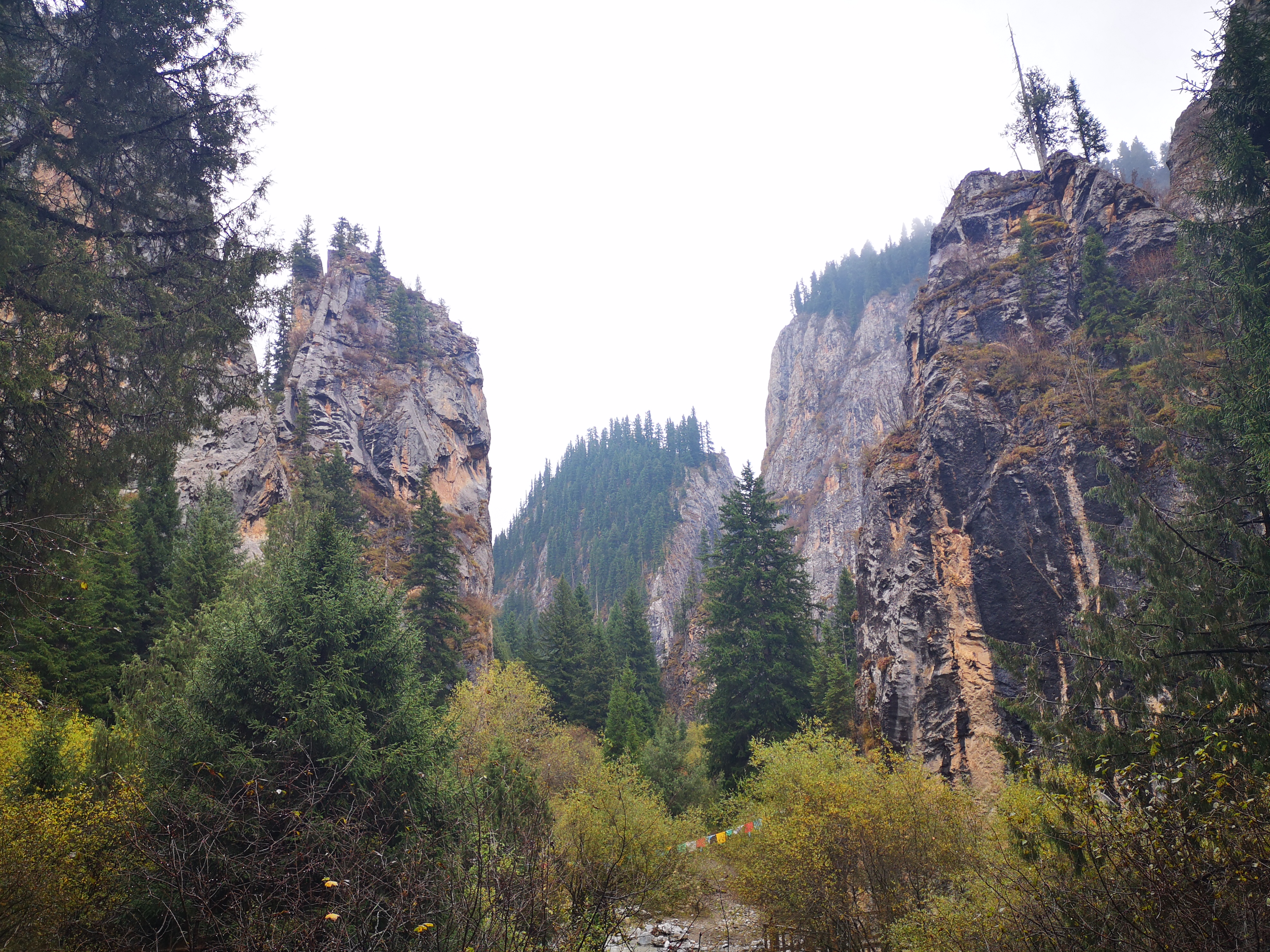 则岔石林游记,尕海湖和则岔石林