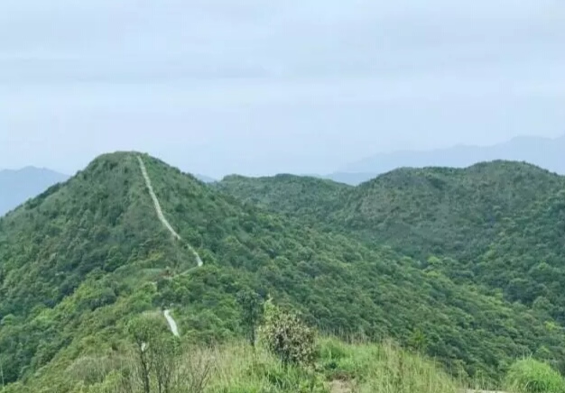 广州高峰排行榜前十名,广东适合爬十大高峰