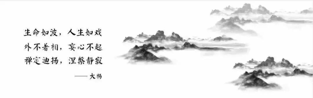 大杨讲物理思维,大杨情感咨询