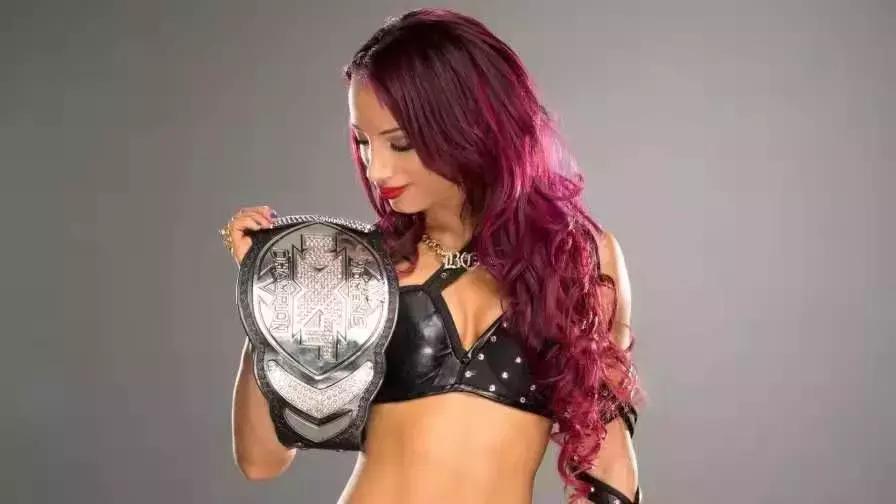 盘点wwe最可怕的十位选手,夺冠次数