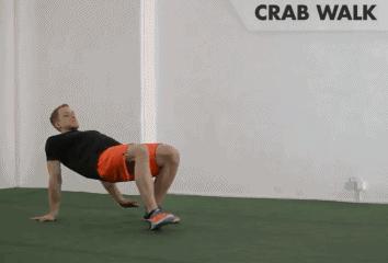 跑者如何锻炼脚踝,跑者核心锻炼动作