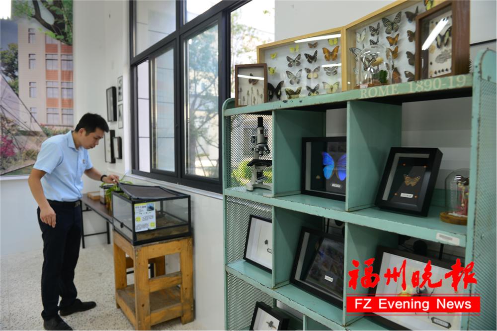 福州教院二附小晋安校区,福州教育学院二附小晋安校区揭牌