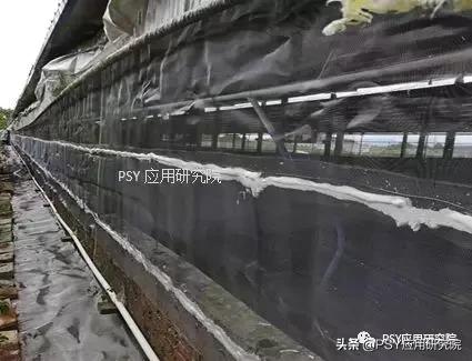 猪场有非瘟怎么消毒与复产,当下猪场非瘟防控