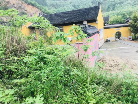 起缘聚文化产业发展有限公司,起缘聚文化联盟平台