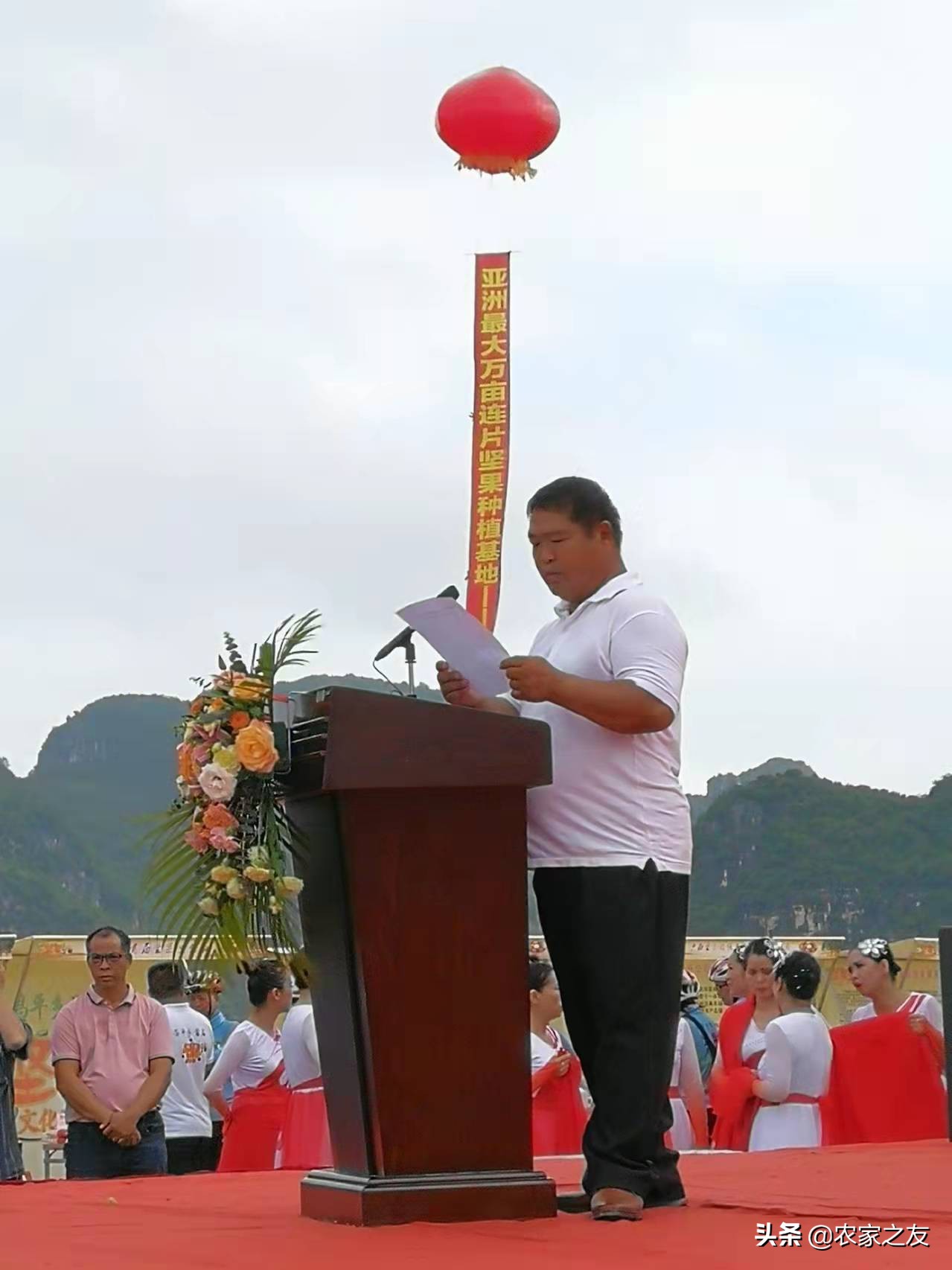 扶绥县昌平坚果苗,扶绥昌平坚果种植基地