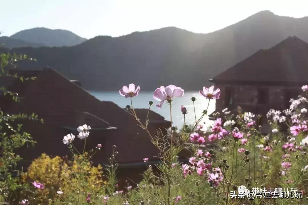 北京最有度假感的酒店，就在金海湖