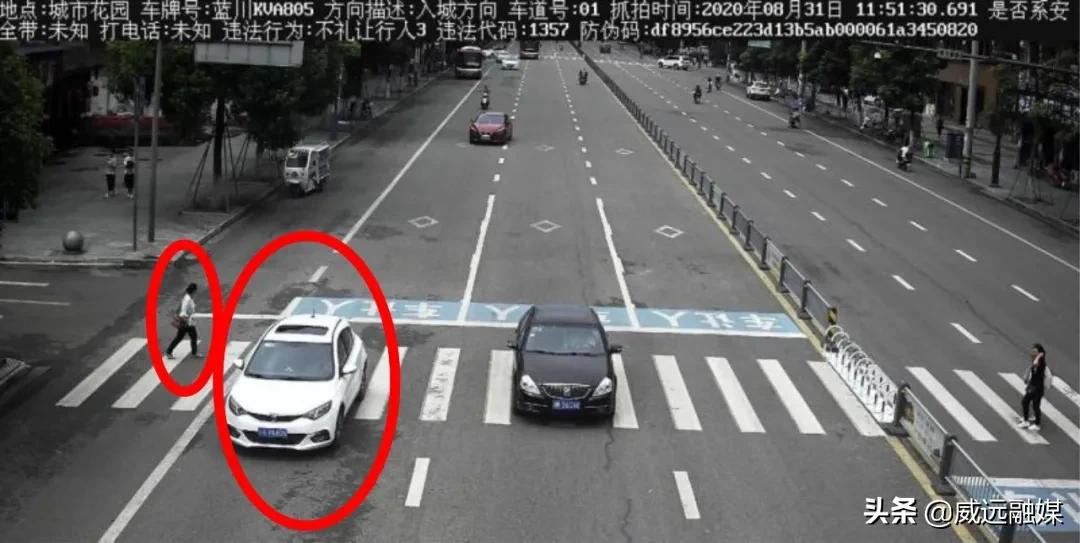 川k临时牌照,川k是什么地方的牌照