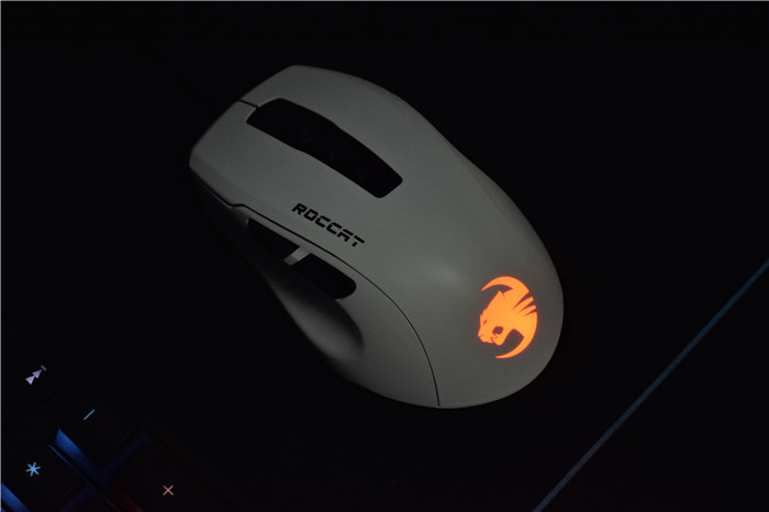 冰豹夜枭ultra鼠标用什么微动,冰豹鼠标夜枭能dc么