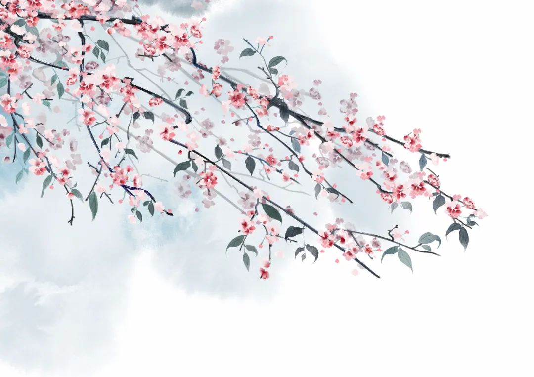 描述花的诗词素材,古诗描写花的句子大全