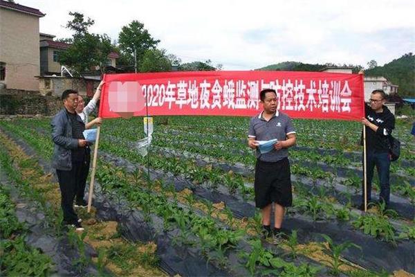 不想在外地打工？那就试试这些在农村比较吃香的行业