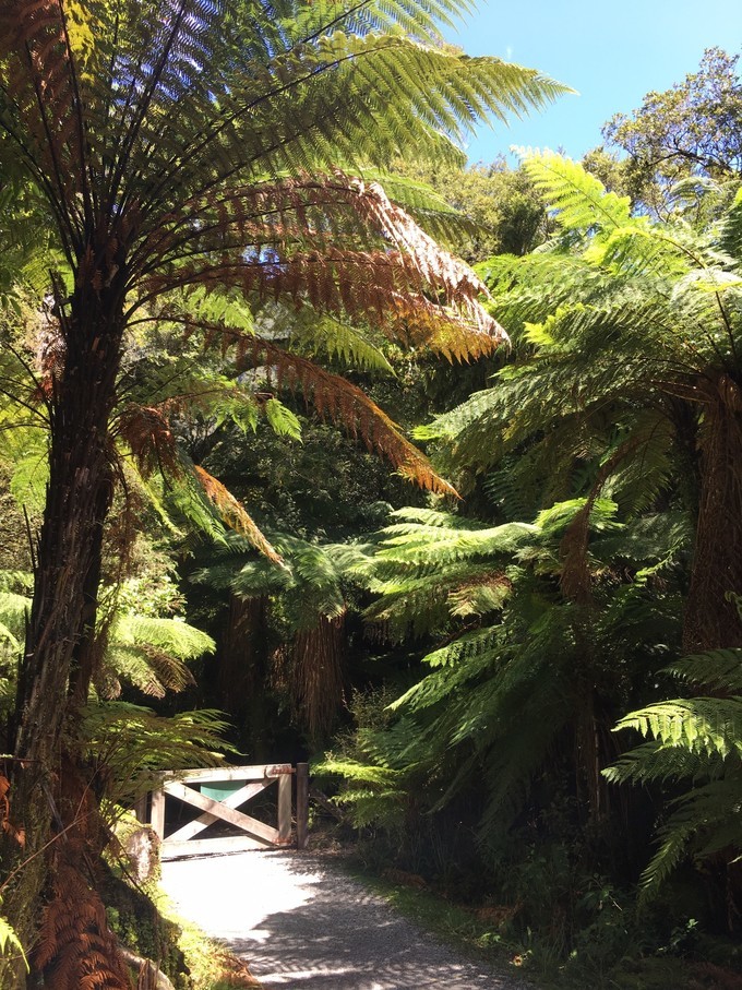 让你不出国就可以拍出欧洲即视感,让你不出家门就能看到江南的美景