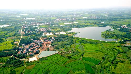 科普|资源昆虫在乡村振兴中的应用