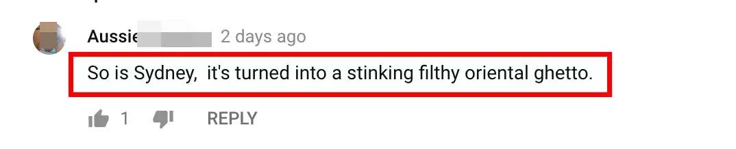 华人在澳洲被辱骂,澳大利亚一群青年当街袭击亚裔