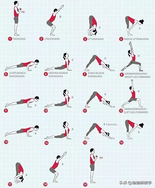 最适合初学者练习的10套瑜伽序列,瑜伽初学者适合练的瑜伽