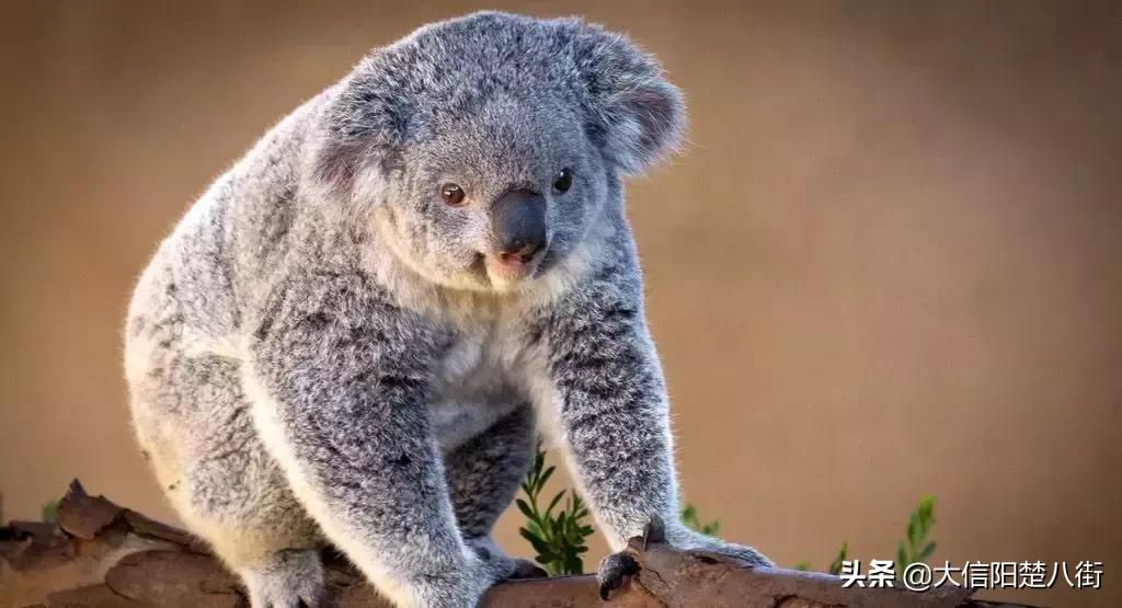 信阳现在一套房子多少钱,在信阳买一套房子首付多少