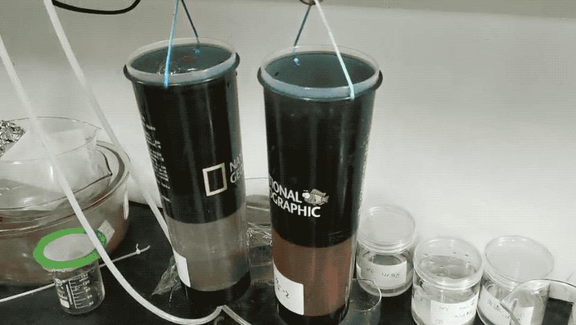 水母宝宝怎么弄才能长大,水母一次喂多少食隔几天再喂