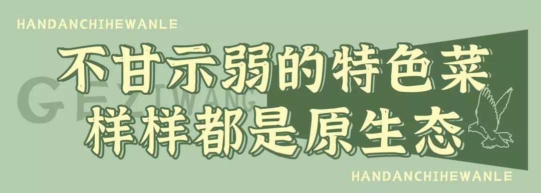 秋冬来袭!来碗养生汤!吃着鸽子喝着汤!请客有面子就到鸽子王