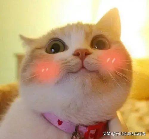 居家防护必备药品,有哪些居家必备药品