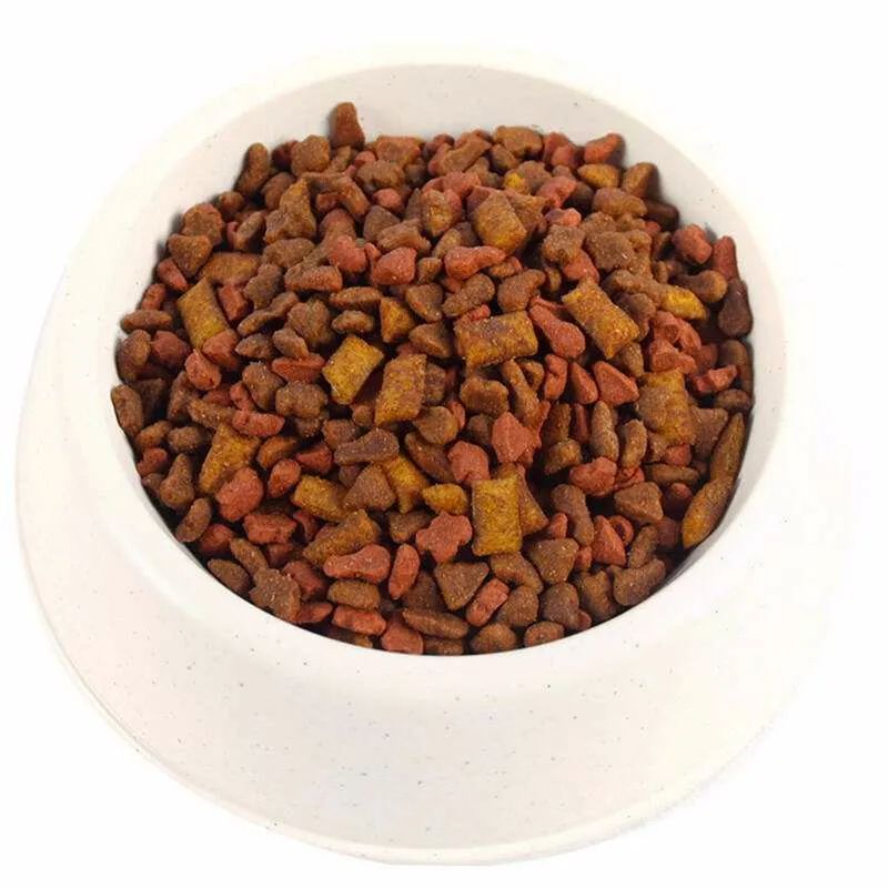 提高抵抗力的宠物食品,增加宠物抵抗力吃什么食物