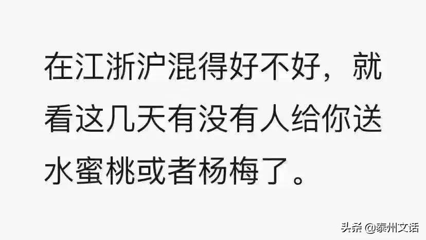夏季超好喝奶茶点单攻略,夏季奶茶推荐点单攻略