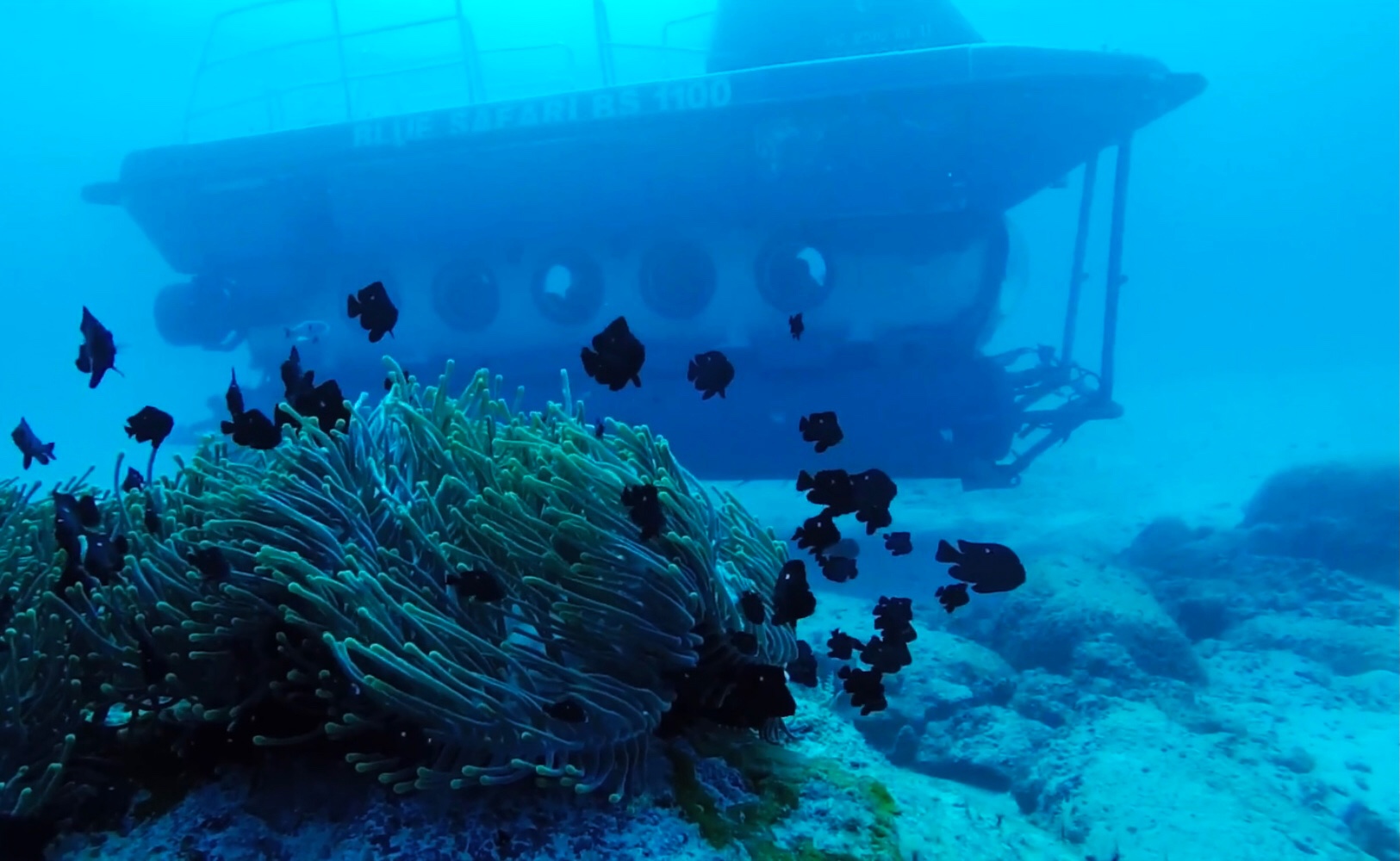 毛里求斯自由行准备,毛里求斯旅游6天5晚