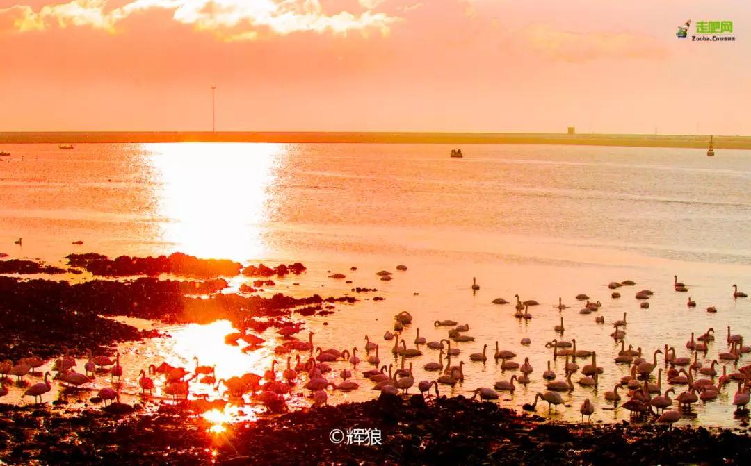 春节你的爱车可以停到这些地方,要过年了你的爱车保养了吗