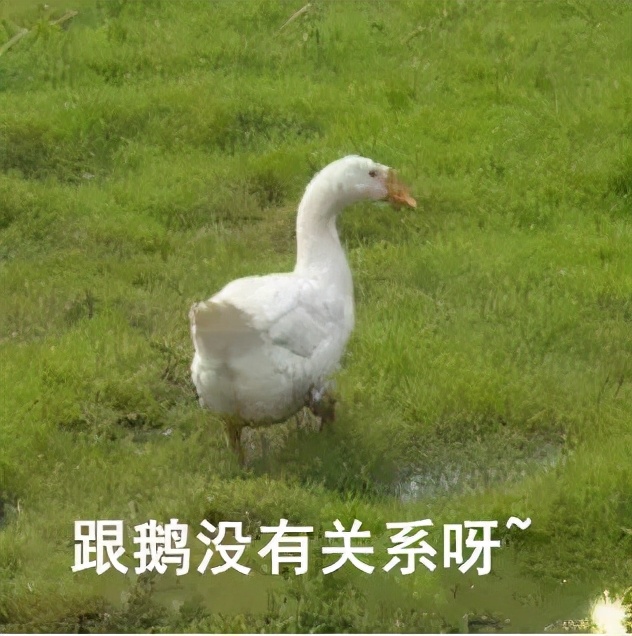 不同部位膝关节,骨科医生教你一招搞定膝盖痛