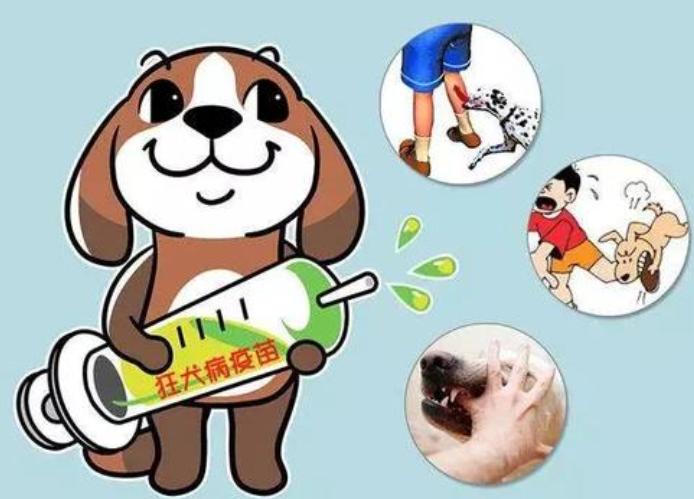 狗狗舔自己伤口会得狂犬病吗,狗唾液舔到微小伤口会得狂犬病吗