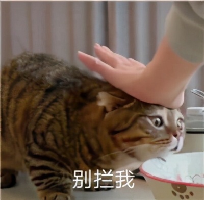 今年天津房租价格趋势,天津各区平均租房指导价