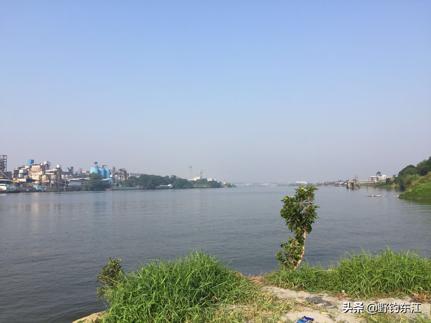 深圳大鹏野钓免费最佳地点,深圳福田野钓地点在哪里