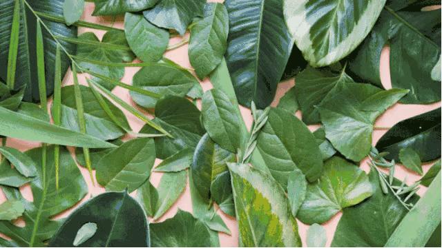 反叛先锋，潮流味道，这瓶最小众时髦的香水，我先买为敬