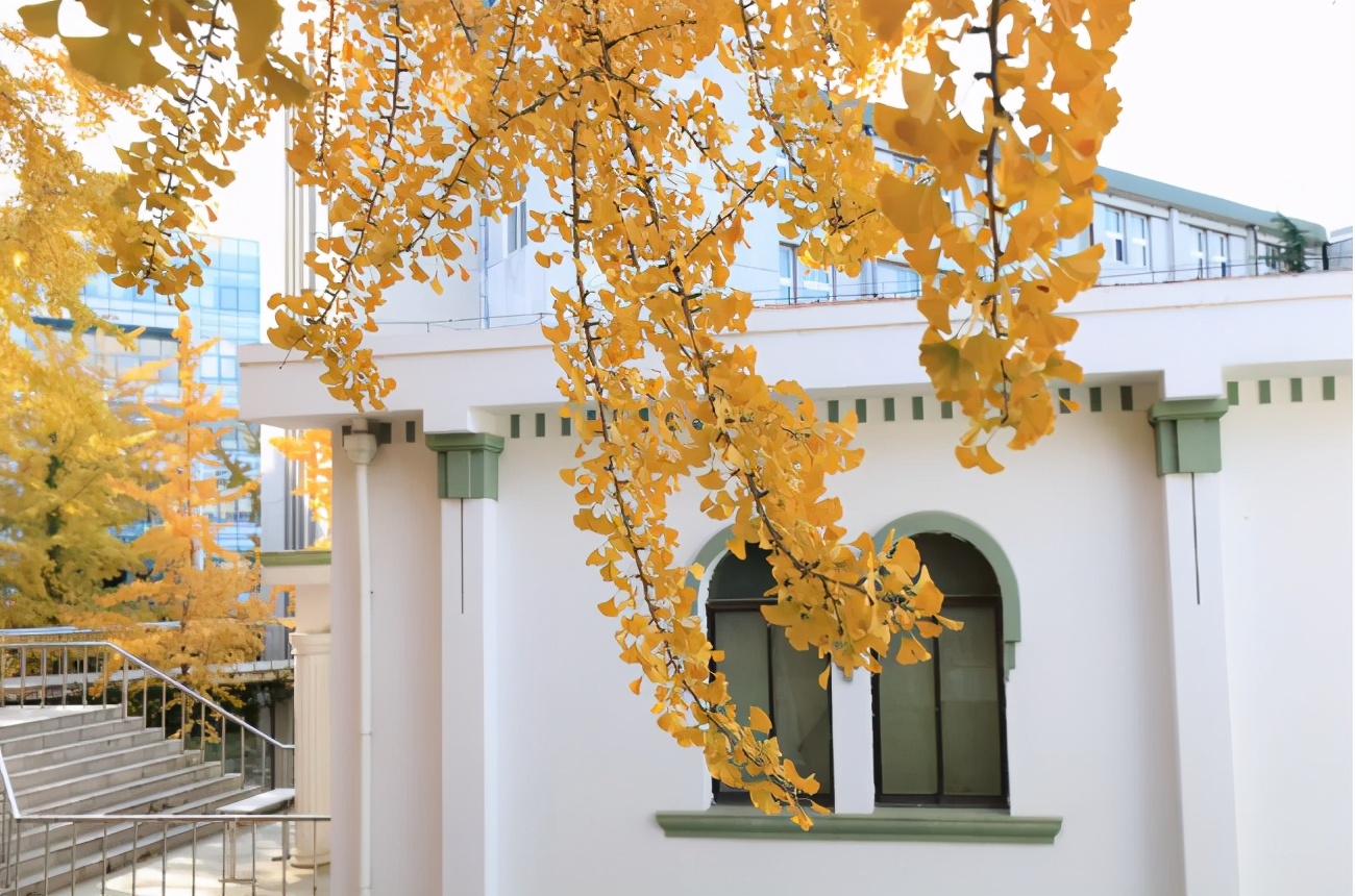 东北财经大学，一所实力不输211的老牌名校