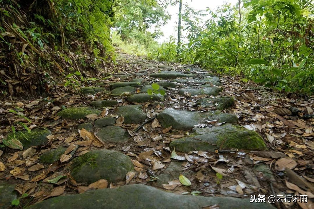 八天七夜云南旅游,八天七夜旅游云南