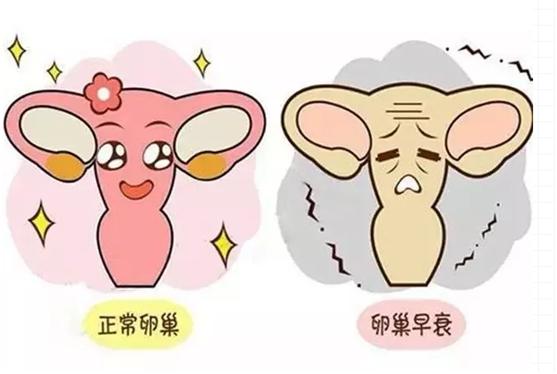 月经量变多可能是卵巢早衰吗,卵巢早衰的原因和症状有哪些45岁