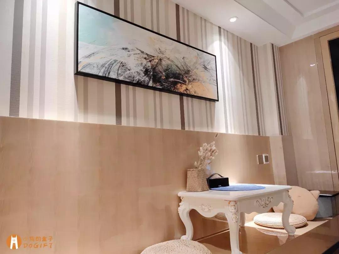 马克深圳最秀狗咖