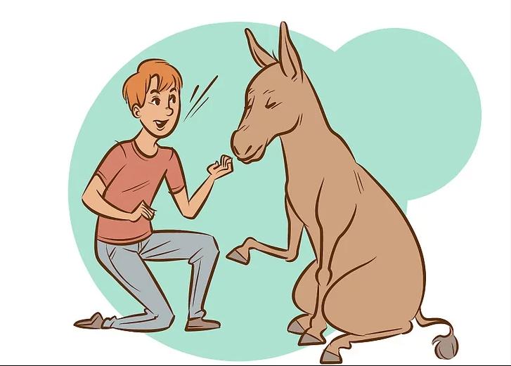 怎么让一头犟驴听话,怎么驯服一头犟驴