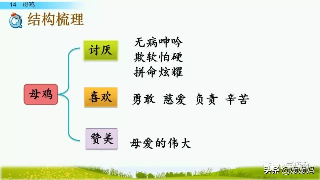 四年级下册第13课小练笔仿写母鸡,四年级下册14课母鸡的预习完整版