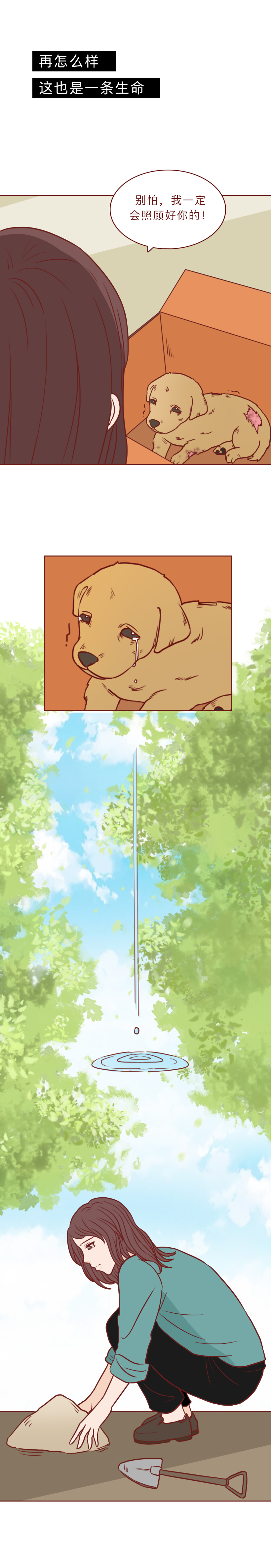 最低9.9，他们被装进盲盒当商品贩卖，漫画揭秘动物盲盒