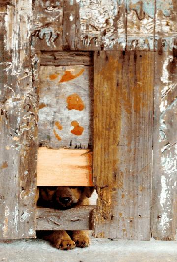 温州瞿溪老街道,温州瞿溪老街瘦肉丸