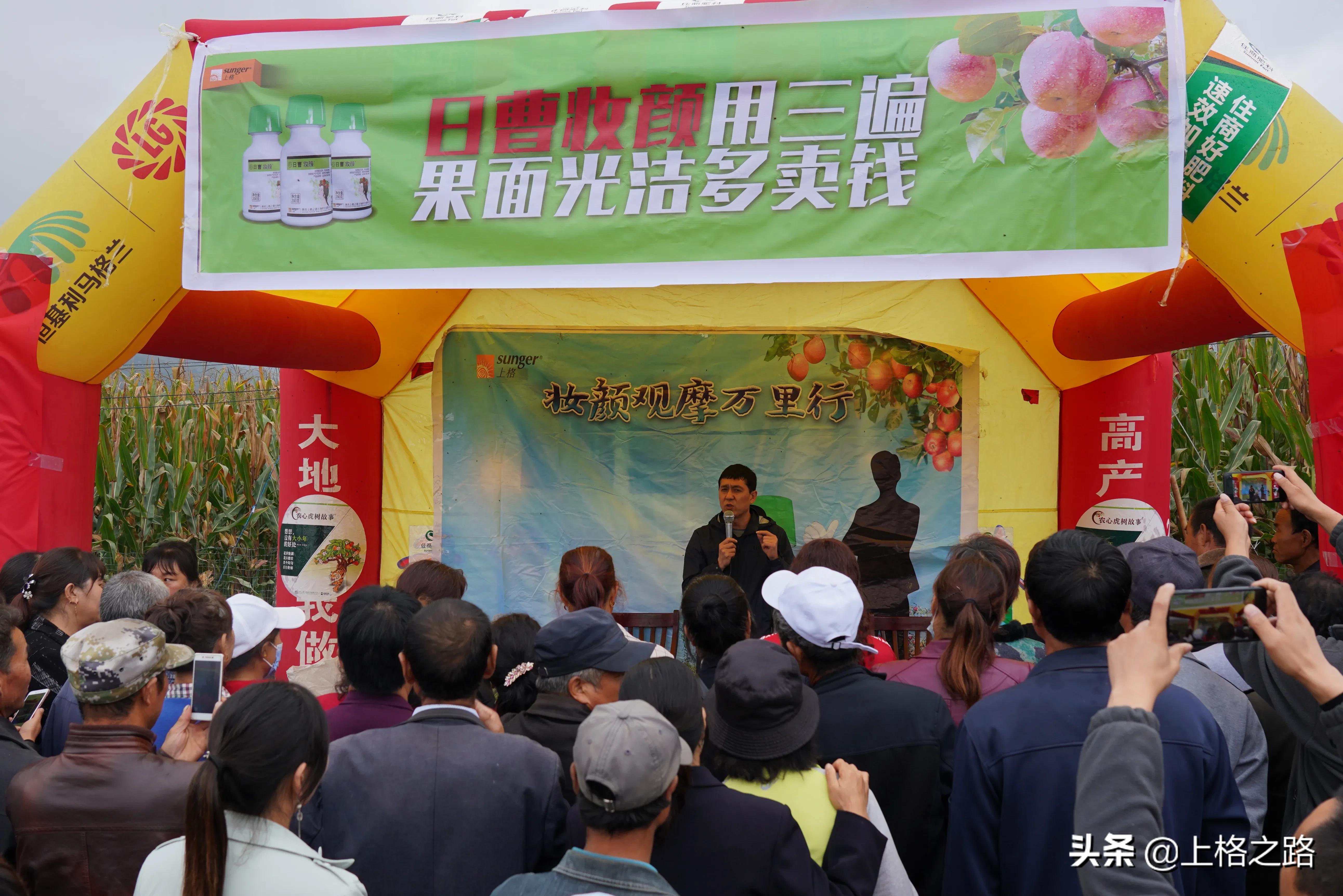 苹果产业的提质增效,平凉市苹果产业发展