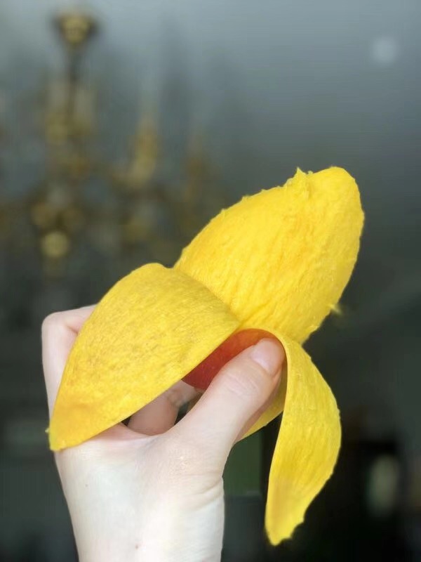 如何区分贵妃芒自然熟,如何辨别贵妃芒