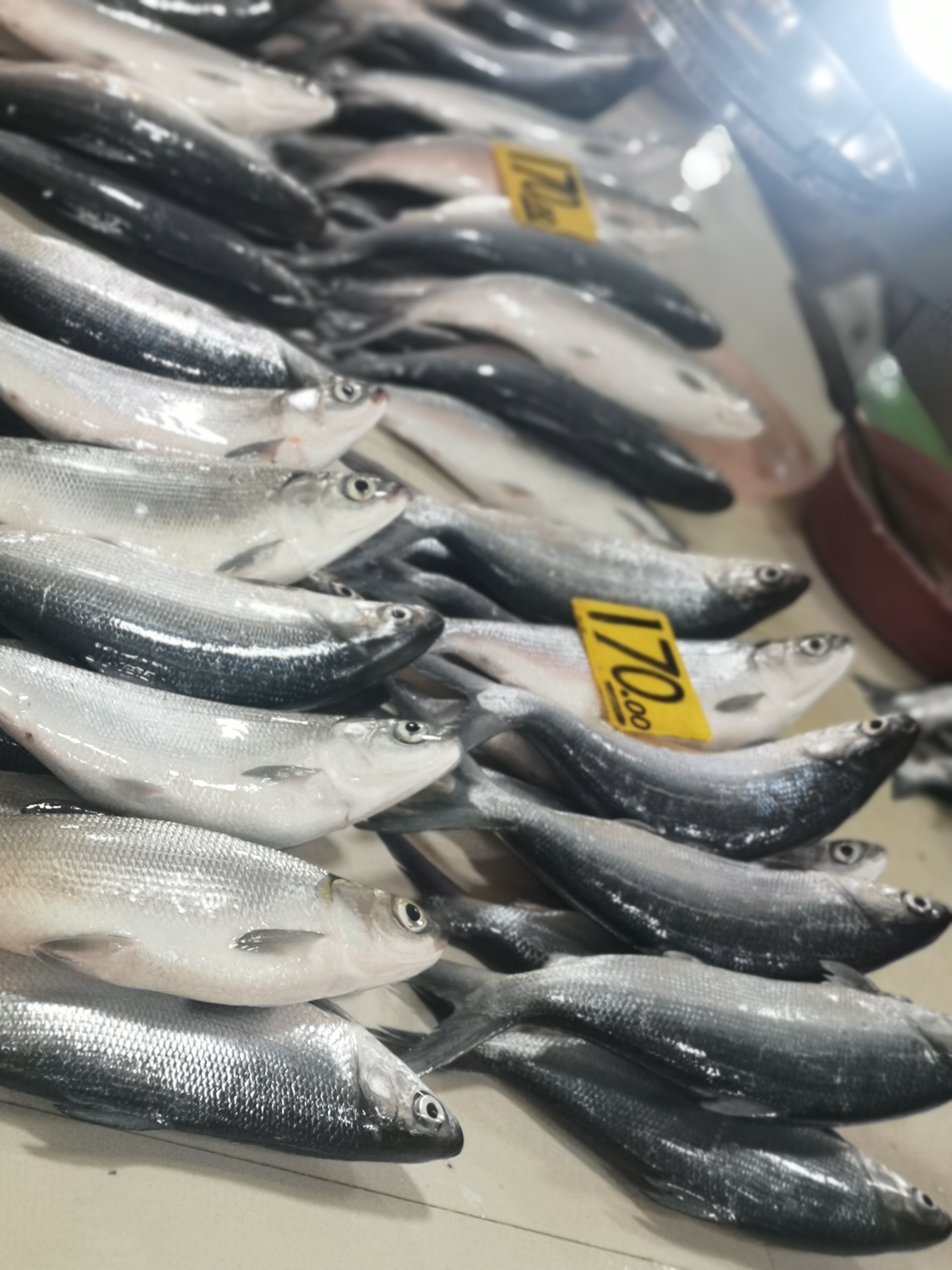 带你看菲律宾的海鲜市场,菲律宾海鲜市场最新行情