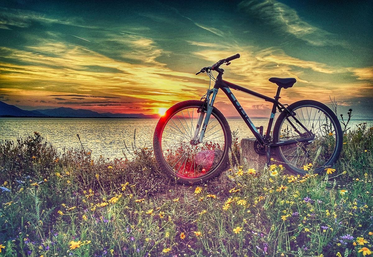 婚外情女人怎么和婚外情男人相处,面对婚外情的女人男人应该怎么办