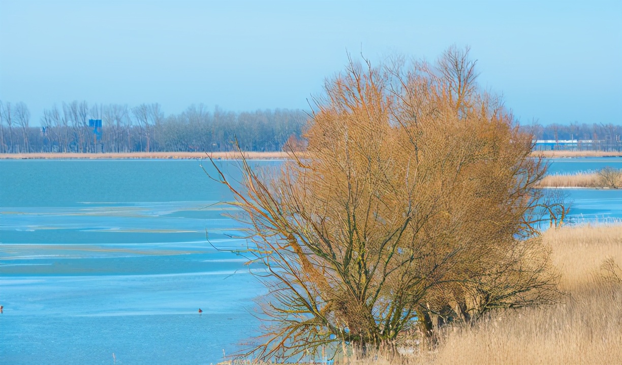 如何对付身边的小人坏人,如何对付各种小人