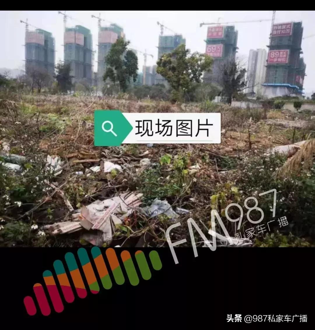 福州梁厝鹿岛公园免费,福建鹿岛公园最新消息