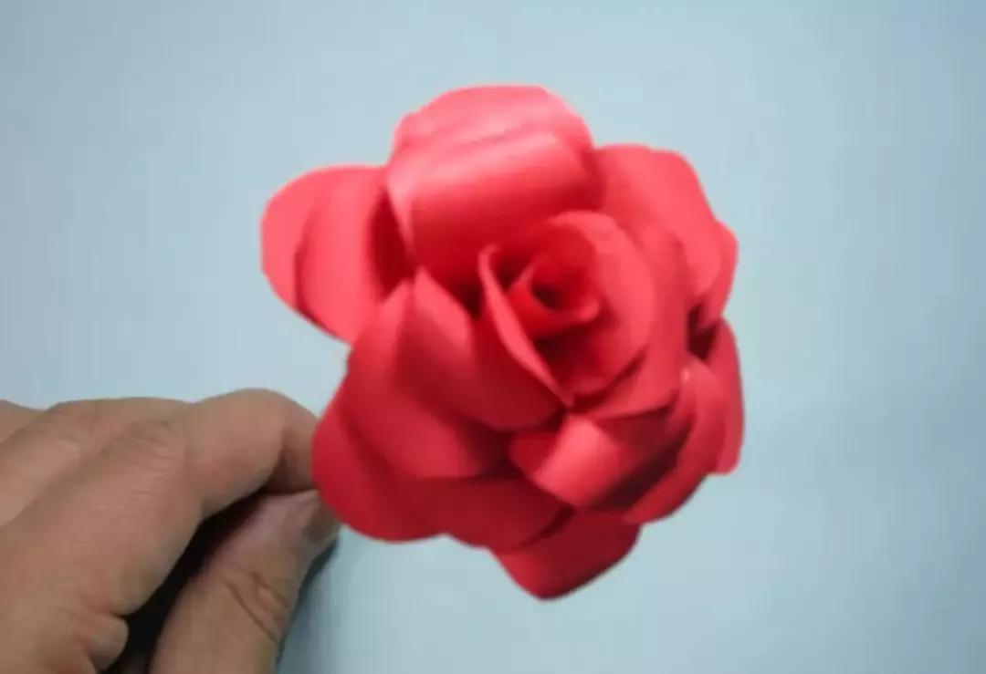 有颜色的玫瑰是怎么做出来的,白玫瑰怎么做七彩玫瑰