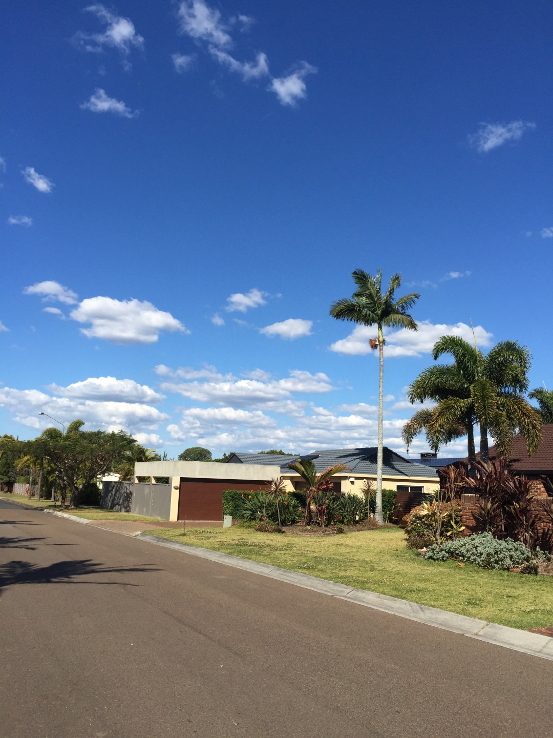 国外澳大利亚生活日常,海外生活澳洲