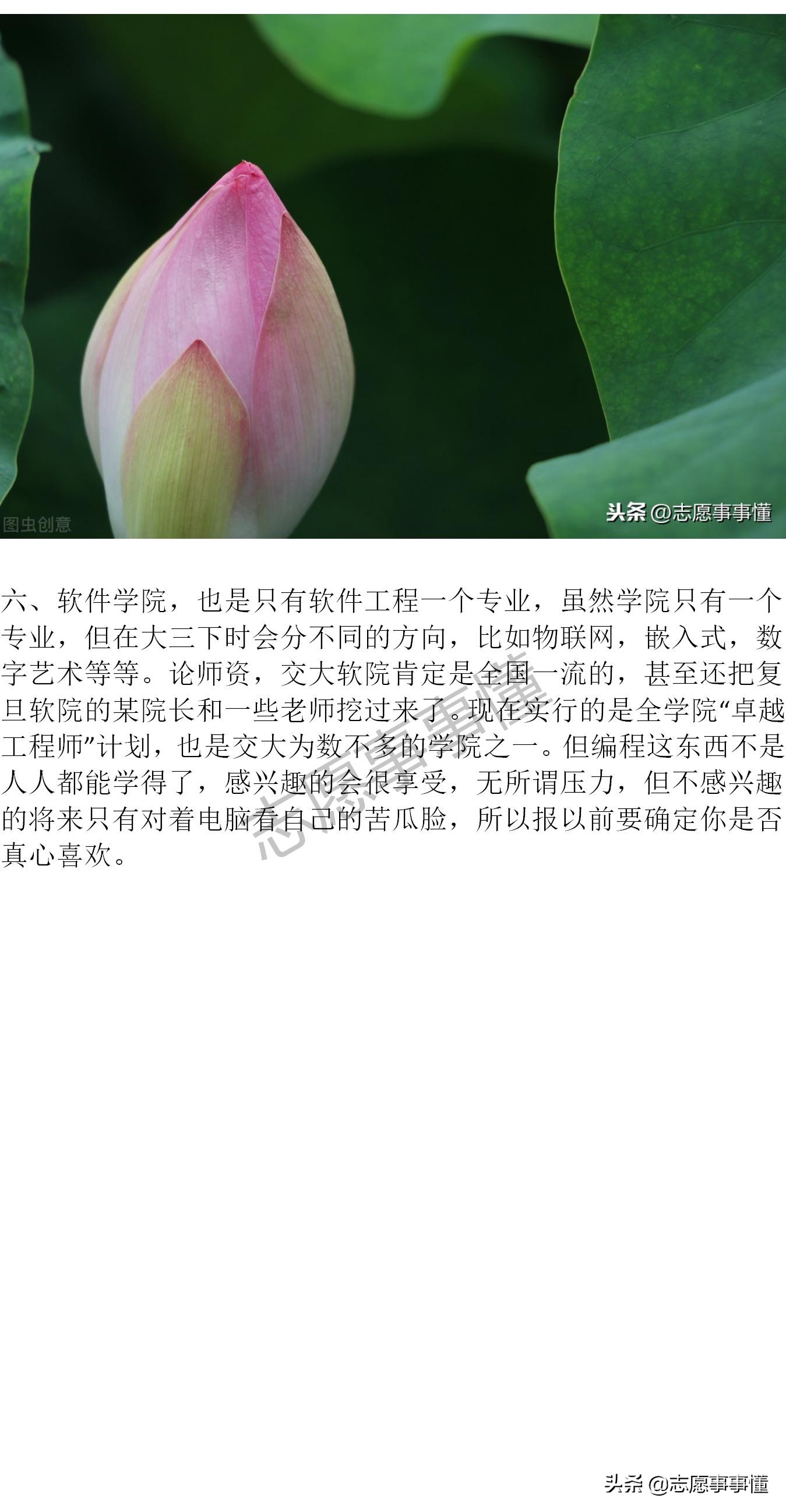 大学漫漫谈之上海交通大学