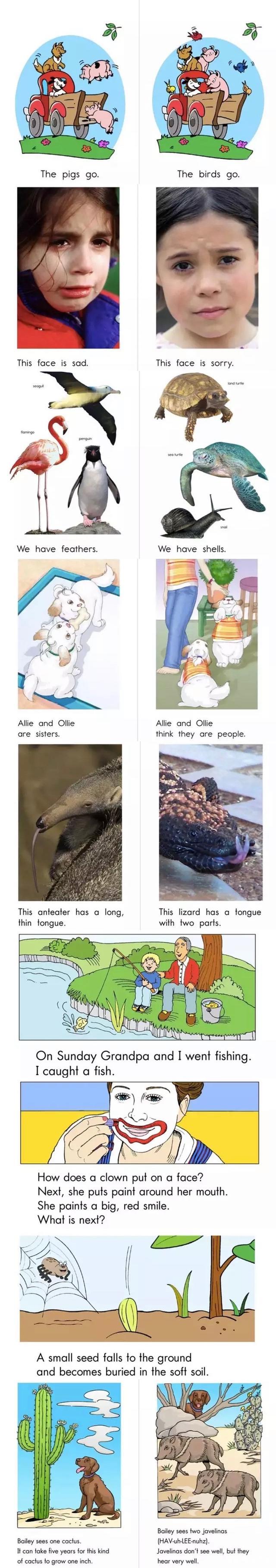 raz分级阅读的raz指什么,英语raz分级阅读怎么用