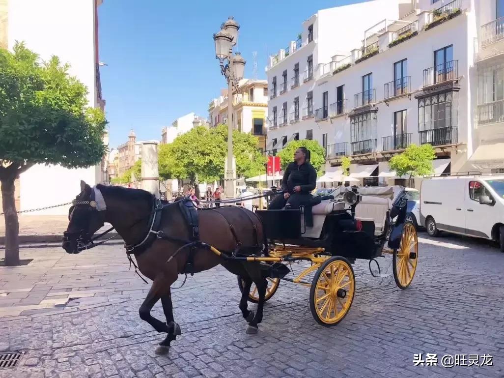 佳能单反相机5万元内推荐购买,2024佳能单反全画幅相机报价